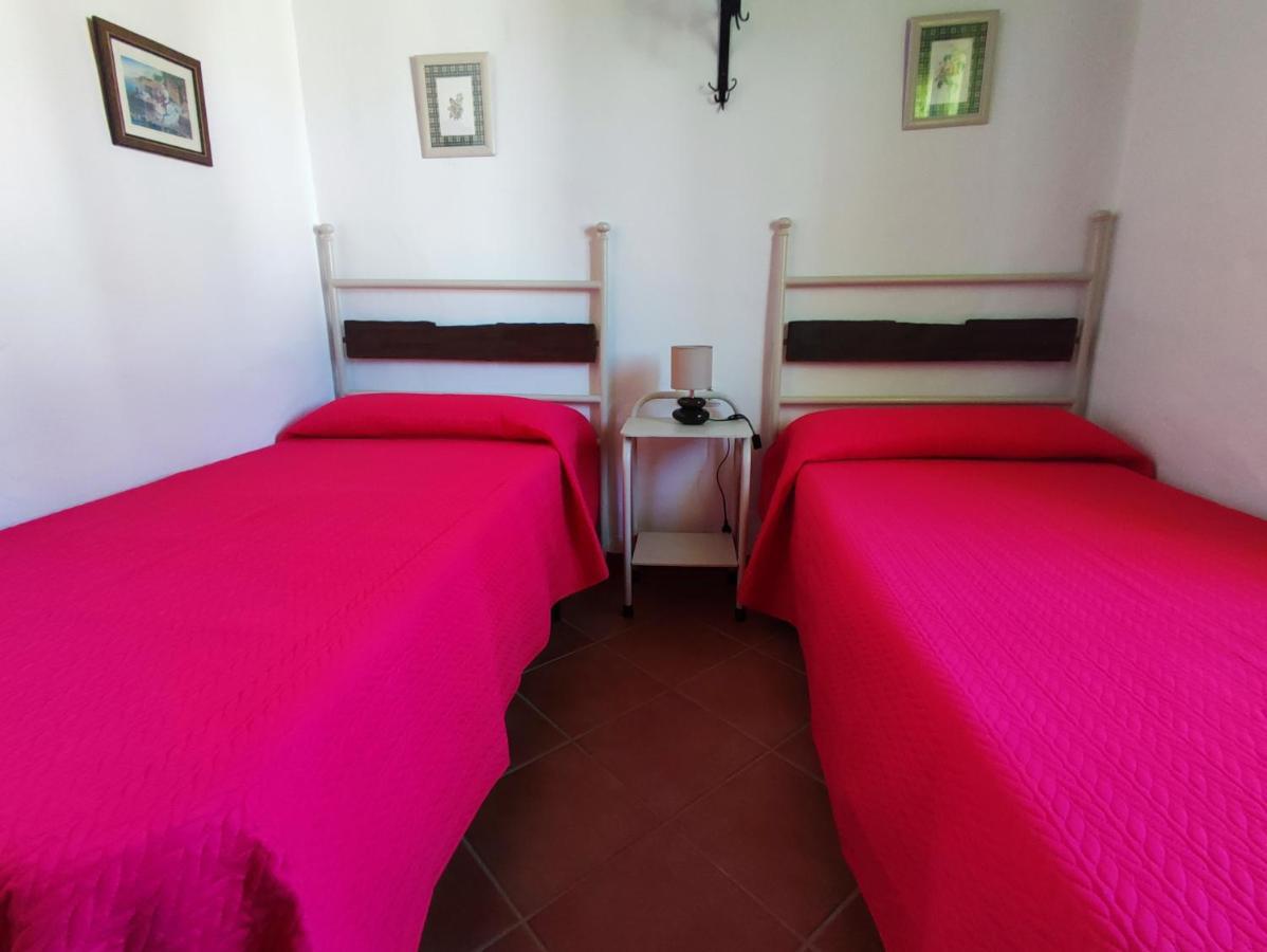 El Cortijo De Pepa Villa Conil De La Frontera Exteriör bild